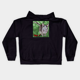 And...? Kids Hoodie